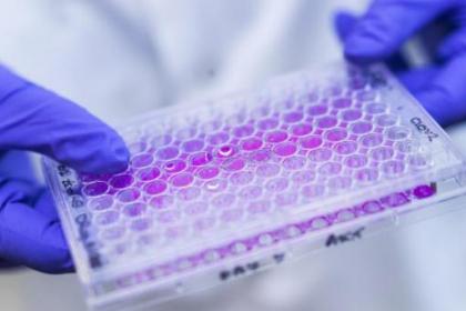 A closeup of a researcher wearing gloves while holding lab equipment