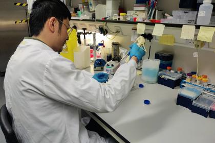A photo of Dr Haonan Lu conducting ovarian cancer research in his lab at Hammersmith hosptial