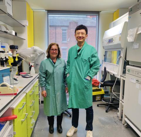 Professor Sadaf and Dr Haonan in their lab at Hammersmith Hosptial