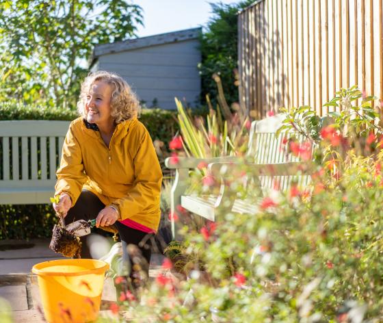 Gardening