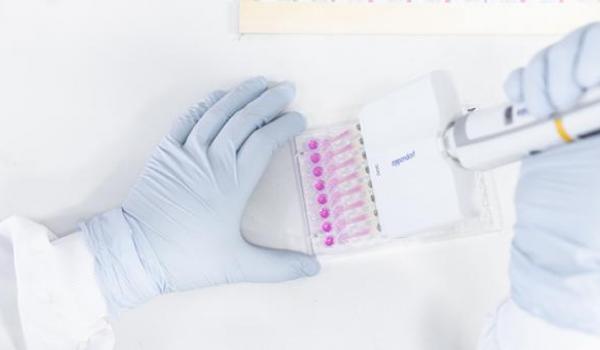 A closeup of a researcher wearing gloves while using lab equipment