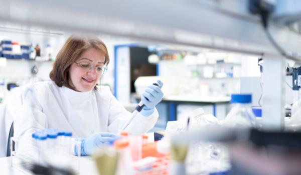 A person in a lab conducting research