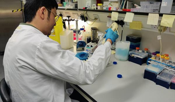 A photo of Dr Haonan Lu conducting ovarian cancer research in his lab at Hammersmith hosptial