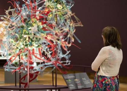 A woman views an exhibit at the Cancer Revolution: Science, Innovation and Hope exhibition