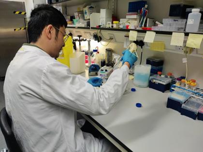 A photo of Dr Haonan Lu conducting ovarian cancer research in his lab at Hammersmith hosptial