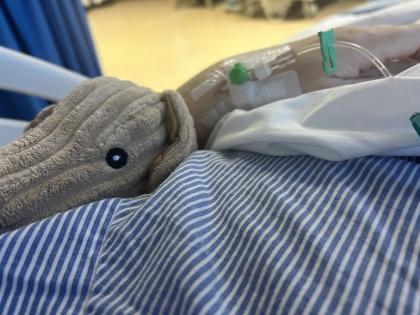 An image of Heleena's arm with a cannula in whilst she was in hospital, with a stuffed toy under her arm for comfort