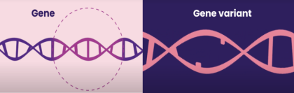 Graphic showing a gene and a gene variant in a helix of DNA